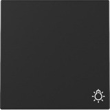 Gira Wippe mit Symbol Licht schwarz, Retail