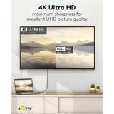 goobay USB Adapterkabel, USB-C Stecker > DisplayPort Stecker, 4K 60Hz schwarz, 3 Meter, 21,6 Gbit/s