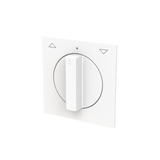 Busch-Jaeger Zentralscheibe mit Pfeil auf/ab, Abdeckung weiß, Retail