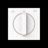 Busch-Jaeger Zentralscheibe mit Pfeil auf/ab, Abdeckung weiß, Retail