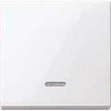 Merten Wippe Kontrollfenster für Schalter- und Tastereinsatz, 1-fach, glänzend, Thermoplast weiß (glänzend), Retail