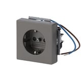 Busch-Jaeger Schutzkontaktsteckdose Einsatz 20 EUCBLI-866 edelstahl, Retail