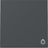 Gira Wippe Symbol Licht anthrazit, Retail