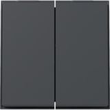 Gira Wippe zweifach anthrazit, Retail