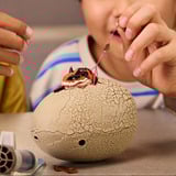 Spin Master Primal Hatch Hybrid Dinos - Dino Actionfigur im Ei, Spielfigur sortierter Artikel, eine Figur