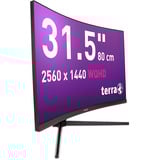 TERRA 3285W HA, LED-Monitor 80 cm (31.5 Zoll), schwarz (matt), WQHD, VA, Curved, HDMI, DP, USB-C, 180Hz Panel