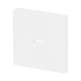 Busch-Jaeger Wippe weiß (matt), Retail