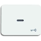 Busch-Jaeger Wippe mit Symbol Schlüssel 1789 TR-24G weiß, Retail