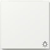 Gira Wippe mit Symbol Licht weiß, Retail