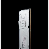 Kingston FURY DIMM 64 GB DDR5-6000 (2x 32 GB) Dual-Kit, Arbeitsspeicher weiß, KF560C40BWAK2-64, FURY Beast RGB, INTEL XMP