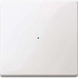 Merten Wippe für Tastermodul einfach, Typ 619119, Thermoplast glänzend, System M weiß (glänzend), Retail