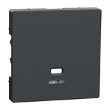 Merten Zentralplatte Zugschalter und Taster Einsatz anthrazit, Retail