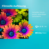Toshiba 43UV3463DA, LED-Fernseher 108 cm (43 Zoll), schwarz, UltraHD/4K, Triple Tuner, SmartTV, VIDAA