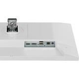 iiyama Prolite XUB2293HSU-W7, LED-Monitor 54.5 cm (21.5 Zoll), weiß (matt), FullHD, IPS, Adaptive-Sync, Einstellbarer Standfuß, 100Hz Panel