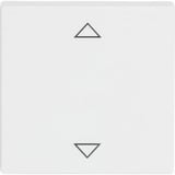 0 Einteilige Wippe Jalousietaster weiß, Retail