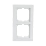 Busch-Jaeger Rahmen 2-fach Retail