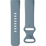 FitBit Charge 5, Fitnesstracker blaugrau/platin
