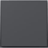 Gira Wippe gerade anthrazit, Retail