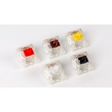 Keychron Gateron Silent Black Switch-Set, Tastenschalter schwarz/transparent, 110 Stück