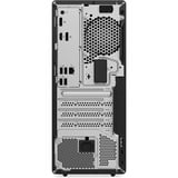Lenovo ThinkCentre M75t Gen 5 (12XB003FGE), PC-System schwarz, Windows 11 Pro