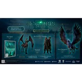 Warner Interactive Hogwarts Legacy Deluxe Edition, Nintendo Switch-Spiel 