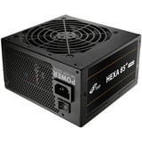 FSP HEXA 85+ PRO 650W, PC-Netzteil schwarz, 2x PCIe, 650 Watt