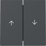 Gira GIRA Wippe 2f Pfeil Anthrazit 329428 anthrazit, Retail