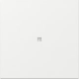 Gira Wippe gerade Kontrollfenster weiß, Retail