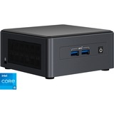 Intel® NUC 11 Pro Kit NUC11TNHv5, Barebone schwarz, ohne Betriebssystem