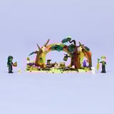 LEGO 75687 75687 Wicked Elphabas Versteck, Konstruktionsspielzeug 