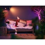 Philips Hue White and color ambiance Lily Gartenstrahler, LED-Leuchte schwarz, Erweiterungs-Set