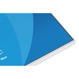 iiyama ProLite XB2497HSU-W1, LED-Monitor 60.5 cm (23.8 Zoll), weiß (matt), FullHD, IPS, HDMI, DP, USB-Hub, erg. Standfuß, 120Hz Panel