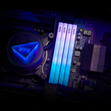 ADATA DIMM 16 GB DDR5-6400, Arbeitsspeicher weiß, AX5U6400C3816G-SLABRWH, XPG Lancer Blade RGB, INTEL XMP, AMD EXPO