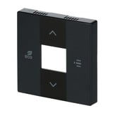 Busch-Jaeger Zentralscheibe, Rahmen anthrazit, Retail