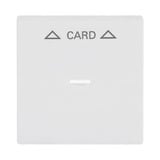 Busch-Jaeger Zentralscheibe für Schalter mit mattierter Oberfläche, Abdeckung weiß (matt), Retail