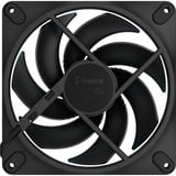 Fractal Design Momentum 14 RGB, Gehäuselüfter schwarz, 140 mm