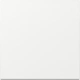 Gira Wippe einteilige Ausführung, glänzende Oberfläche, Kunststoff, Schutzart IP20 weiß (glänzend), Retail