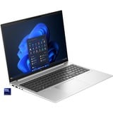 HP EliteBook 860 G11 (A26QDEA), Notebook silber, Intel® Core™ Ultra 7 155H, Intel® Arc™ Graphics, 32 GB DDR5, 1 TB (1 TB SSD), Windows 11 Pro