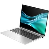 HP EliteBook 865 G11 (9G0K9ET), Notebook silber, AMD Ryzen 5 8540U, AMD Radeon 740M, 16 GB DDR5, 512 GB (512 GB SSD), Windows 11 Pro