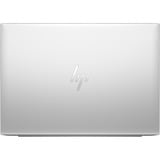 HP EliteBook 865 G11 (9G0K9ET), Notebook silber, AMD Ryzen 5 8540U, AMD Radeon 740M, 16 GB DDR5, 512 GB (512 GB SSD), Windows 11 Pro
