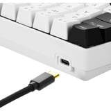 Sharkoon SKILLER SGK50 S4, Gaming-Tastatur weiß/schwarz, IT-Layout, Kailh Red