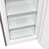 gorenje FN619DAXL6, Gefrierschrank edelstahl