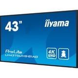iiyama ProLite LH4375UHS-B1AG, Public Display schwarz (matt), UltraHD/4K, IPS, Lautsprecher, SDM-Slot