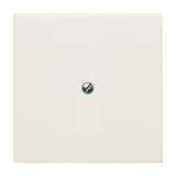 Busch-Jaeger Blindzentralscheibe mit Tragring 2138-32, Blende weiß, Retail