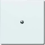 Busch-Jaeger Blindzentralscheibe mit Tragring 2138-32, Blende weiß, Retail