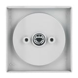 Busch-Jaeger Zentralscheibe, Zeitschaltuhr edelstahl, Retail