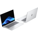 HP OmniBook 7 NGAI 17-dc0054ng, Notebook silber, Intel® Core™ Ultra 5 226V, Intel® Arc™ Graphics 130V, 16 GB LPDDR5X, 512 GB (512 GB SSD), Windows 11 Home