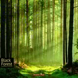 Pegasus Black Forest, Brettspiel 