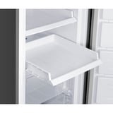 homeX FSN1611E-S, Gefrierschrank silber