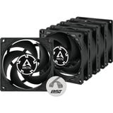 ARCTIC P8 PWM PST, Gehäuselüfter schwarz, 5er Pack, 80 mm